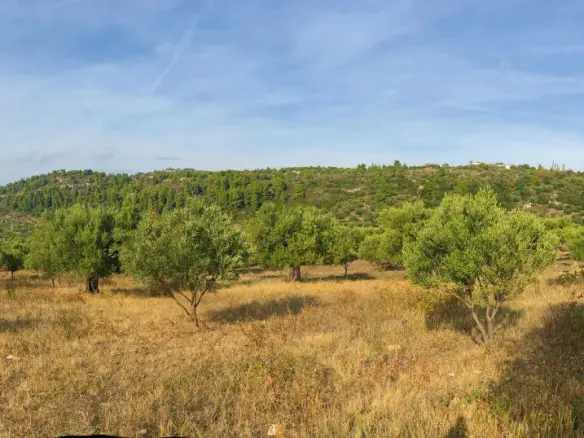 Land Of 4078 M² In Sithonia, Chalkidiki