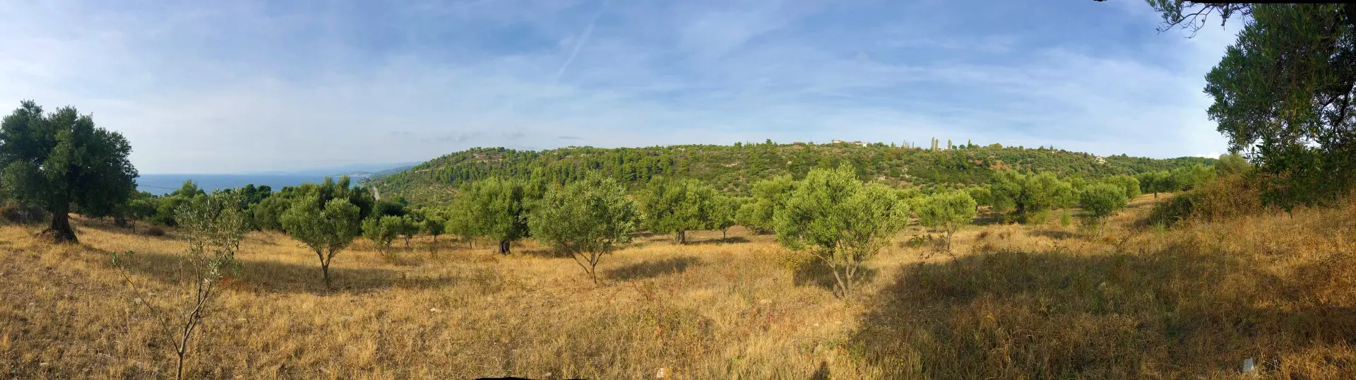Land Of 4078 M² In Sithonia, Chalkidiki