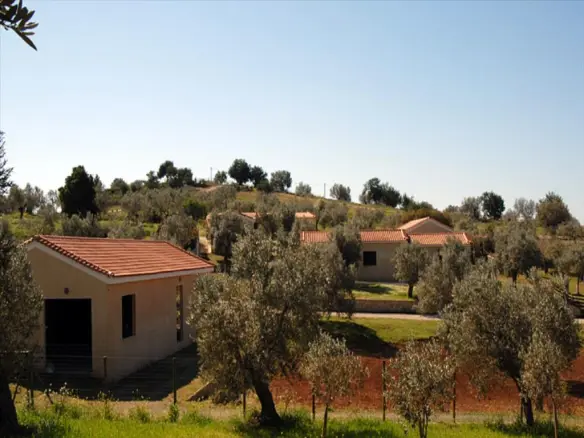 Land Of 41575 M² In Eastern Peloponnese – Ermionida