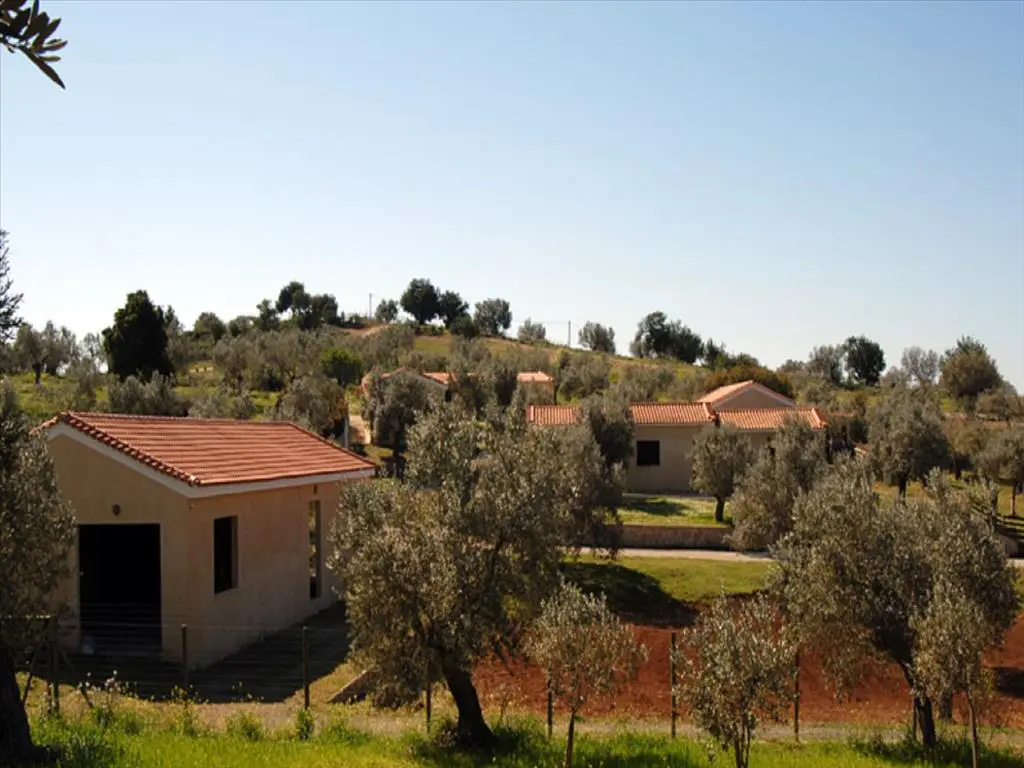 Land Of 41575 M² In Eastern Peloponnese – Ermionida