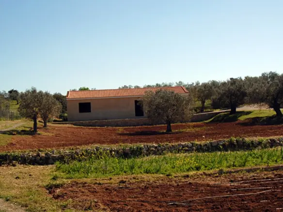 Land Of 41575 M² In Eastern Peloponnese – Ermionida
