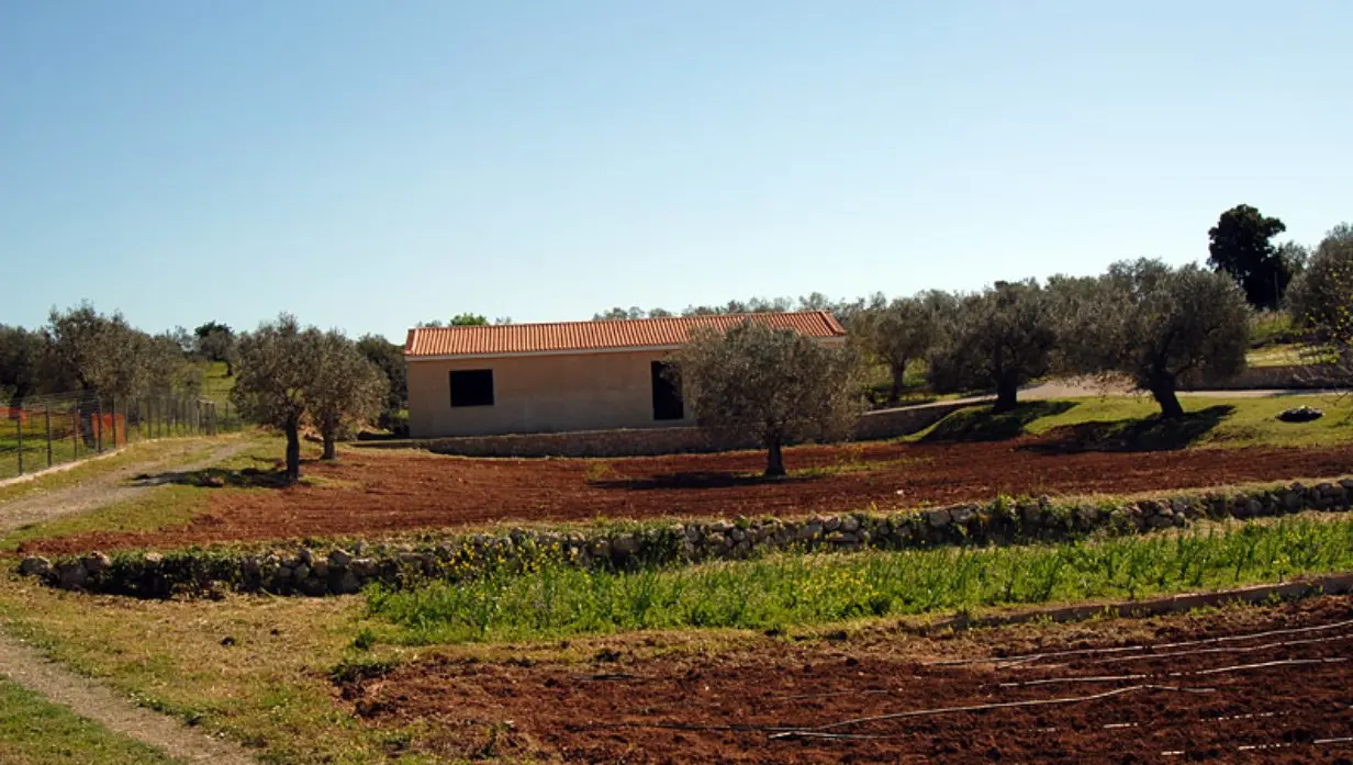 Land Of 41575 M² In Eastern Peloponnese – Ermionida