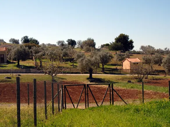 Land Of 41575 M² In Eastern Peloponnese – Ermionida