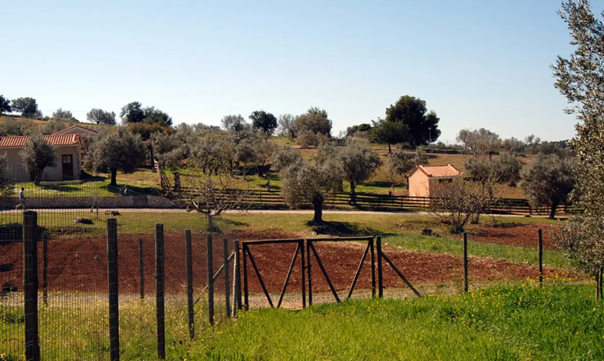 Land Of 41575 M² In Eastern Peloponnese – Ermionida