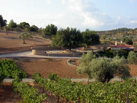 Land Of 41575 M² In Eastern Peloponnese – Ermionida