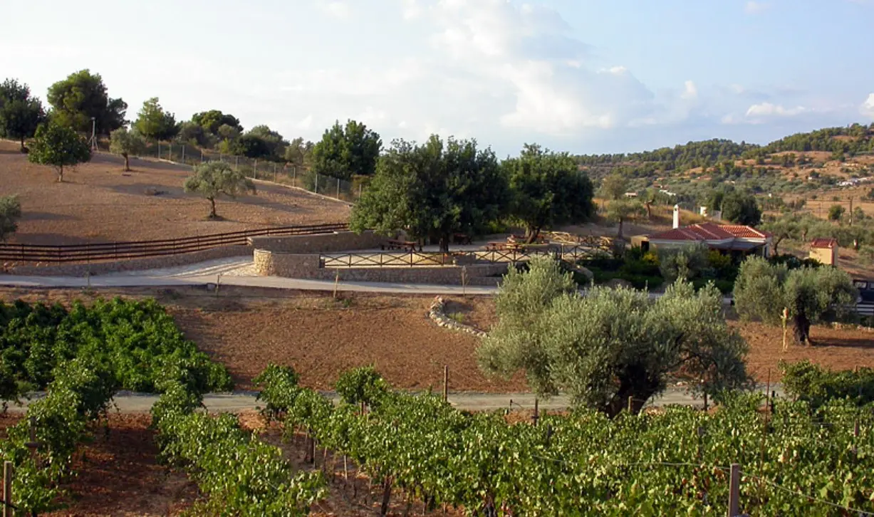 Land Of 41575 M² In Eastern Peloponnese – Ermionida