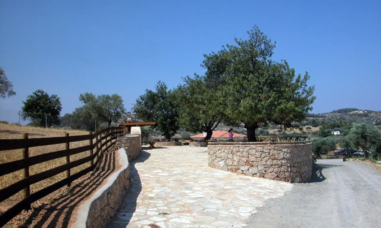 Land Of 41575 M² In Eastern Peloponnese – Ermionida