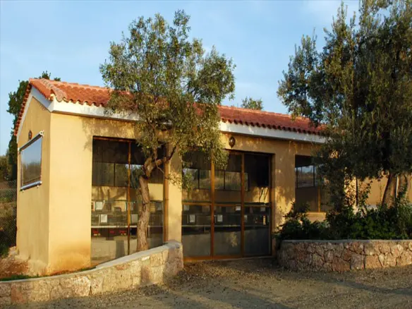 Land Of 41575 M² In Eastern Peloponnese – Ermionida