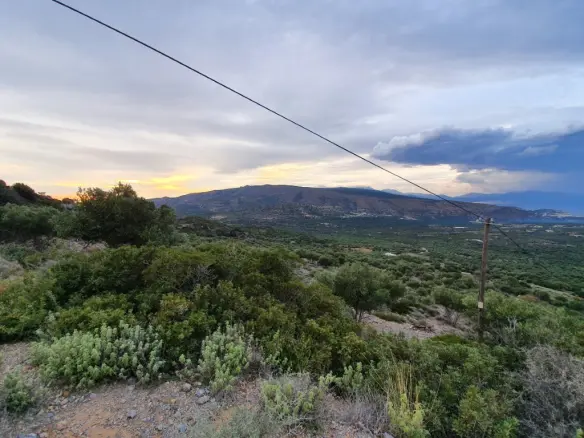 Land In Ierapetra, Greece