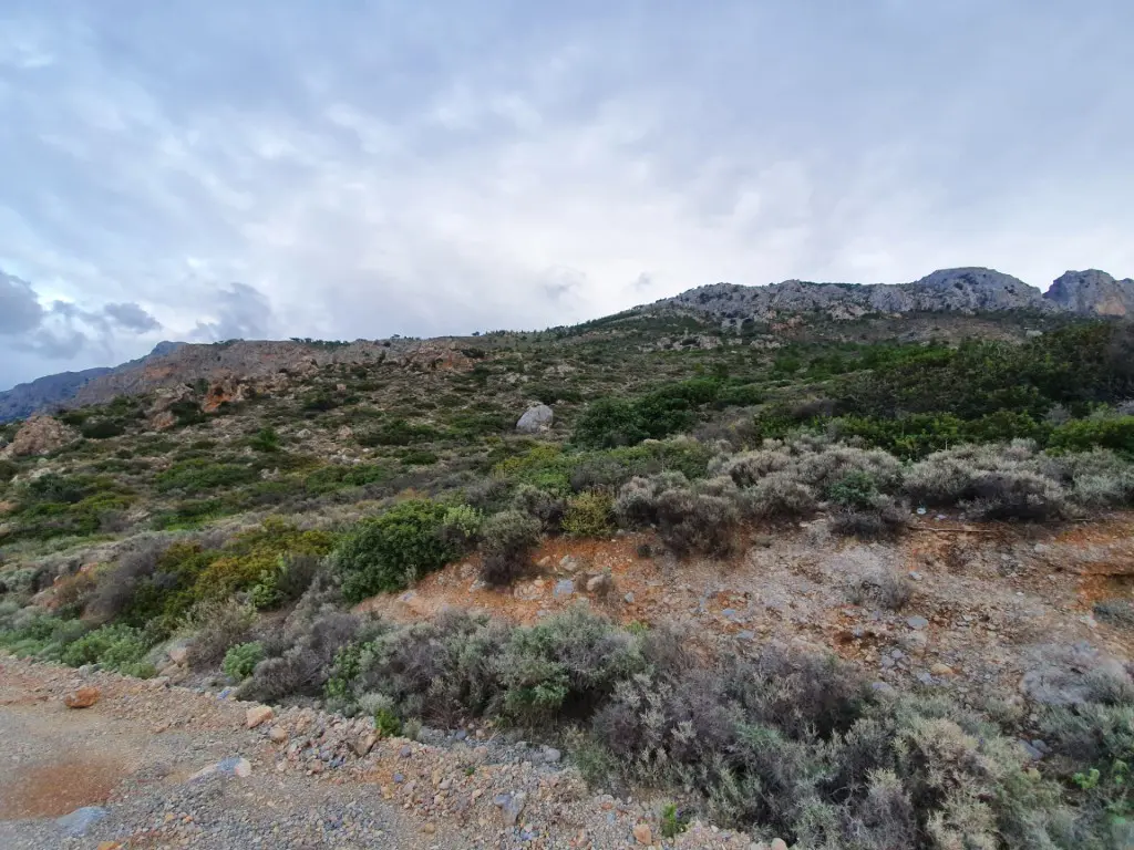Land Of 19000 M² In Crete