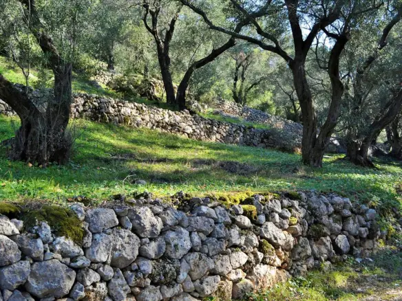 Land In Corfu, Greece