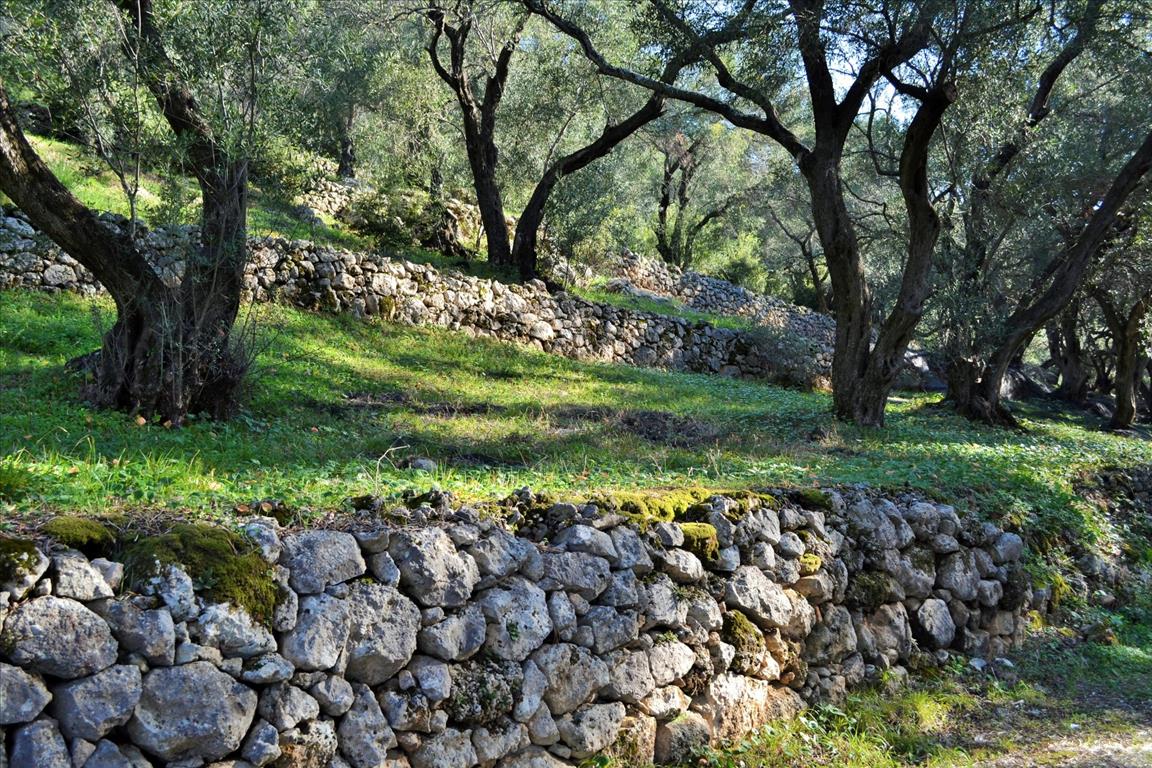 Land Of 7606 M² In Corfu