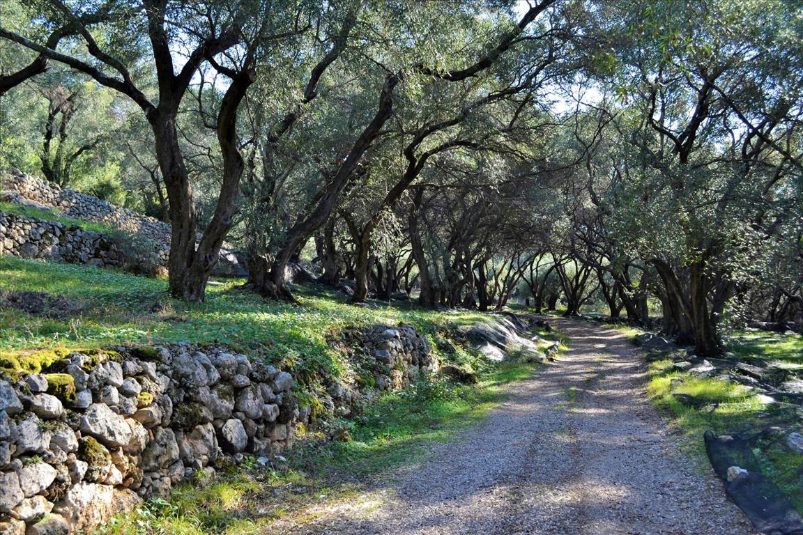 Land Of 7606 M² In Corfu