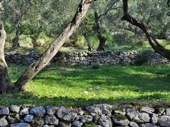 Land In Corfu, Greece