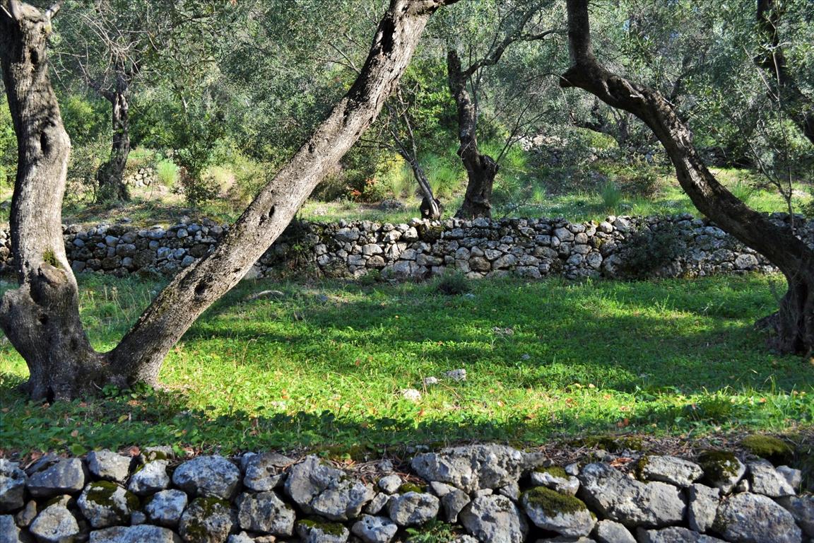 Land Of 7606 M² In Corfu