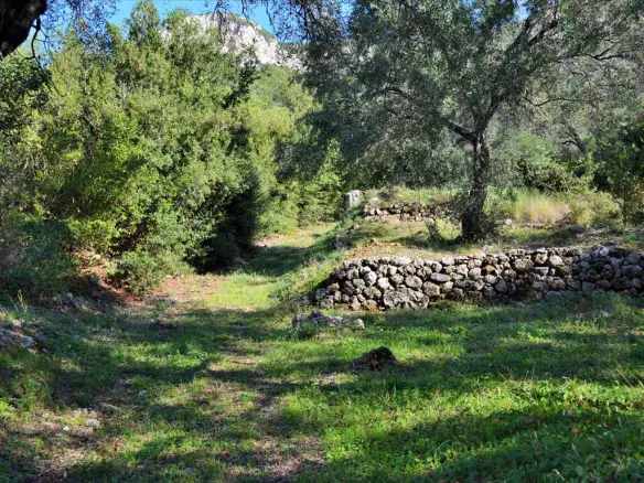 Land In Corfu, Greece
