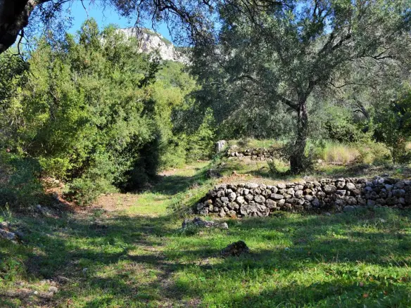 Land In Corfu, Greece