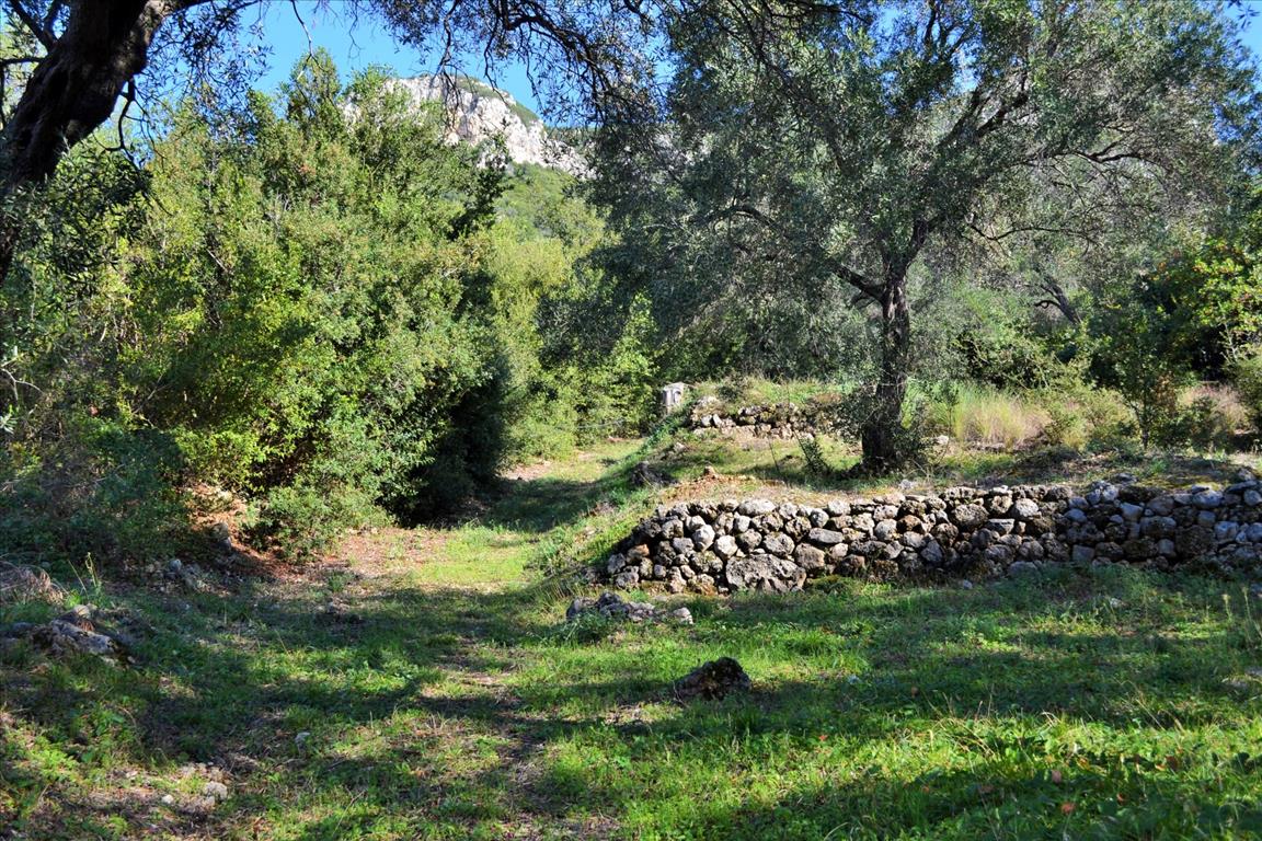 Land Of 7606 M² In Corfu