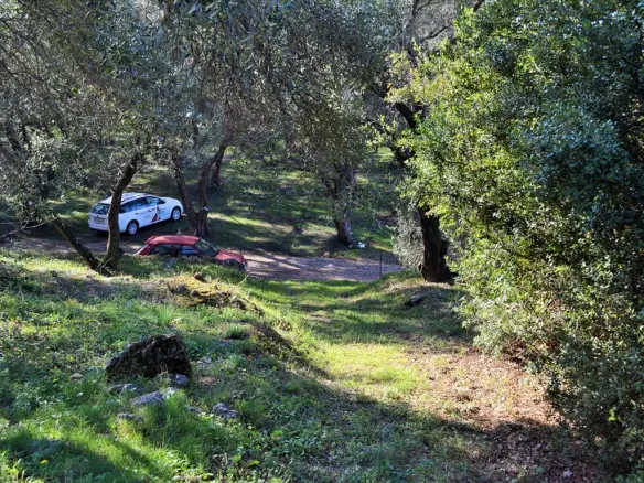 Land In Corfu, Greece