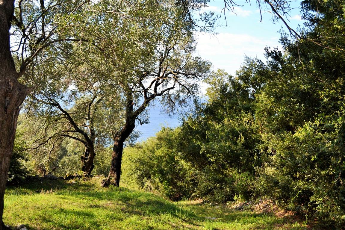 Land Of 7606 M² In Corfu