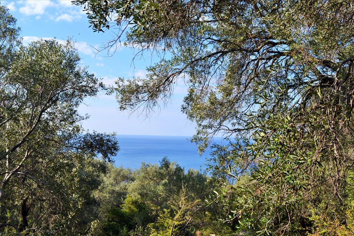 Land Of 7606 M² In Corfu