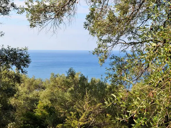 Land Of 7606 M² In Corfu