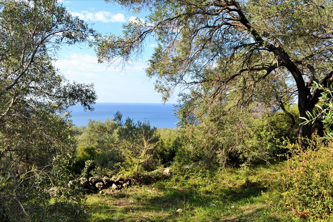 Land Of 7606 M² In Corfu