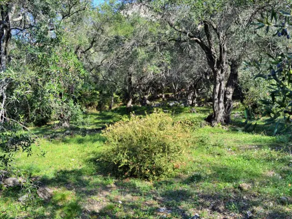 Land In Corfu, Greece