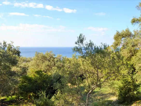 Land In Corfu, Greece