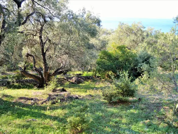 Land In Corfu, Greece