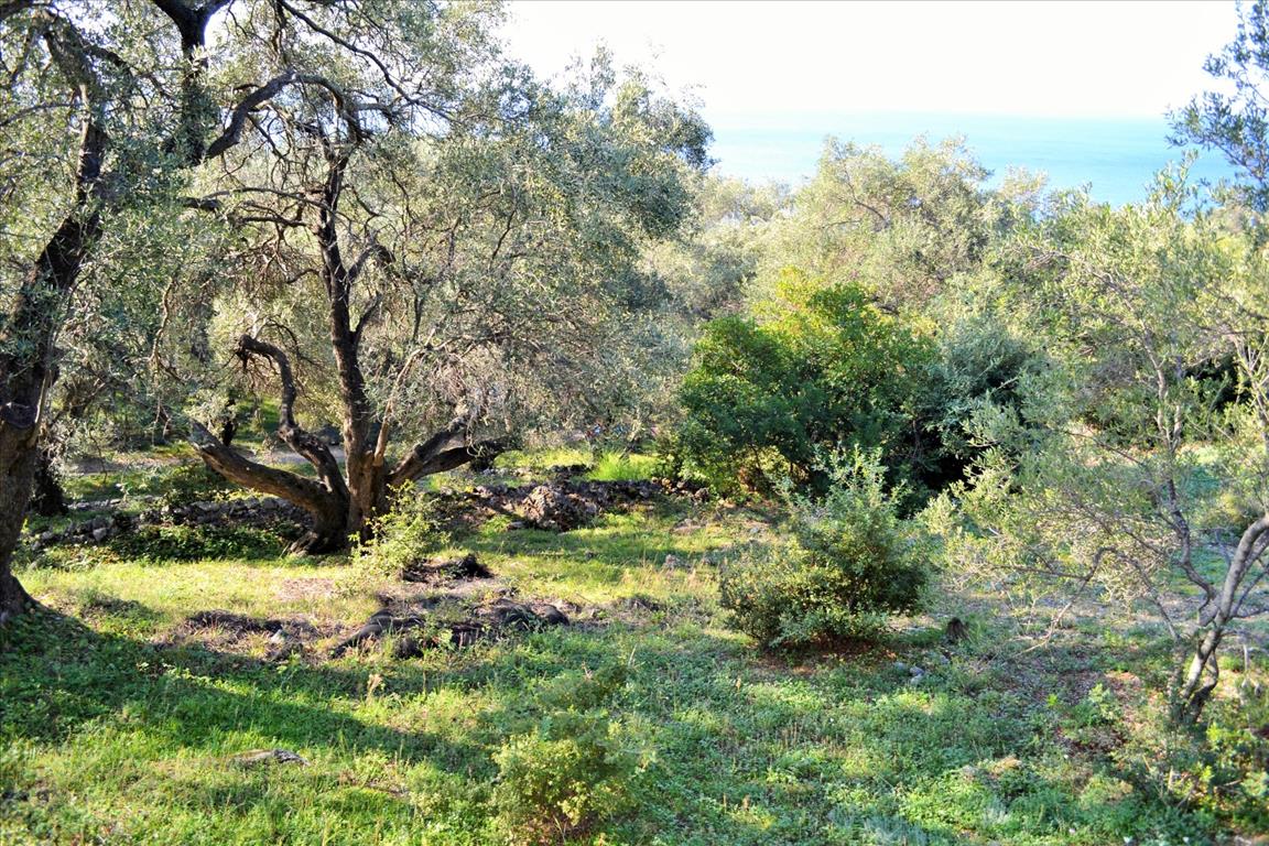 Land Of 7606 M² In Corfu