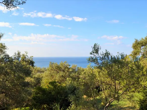 Land In Corfu, Greece