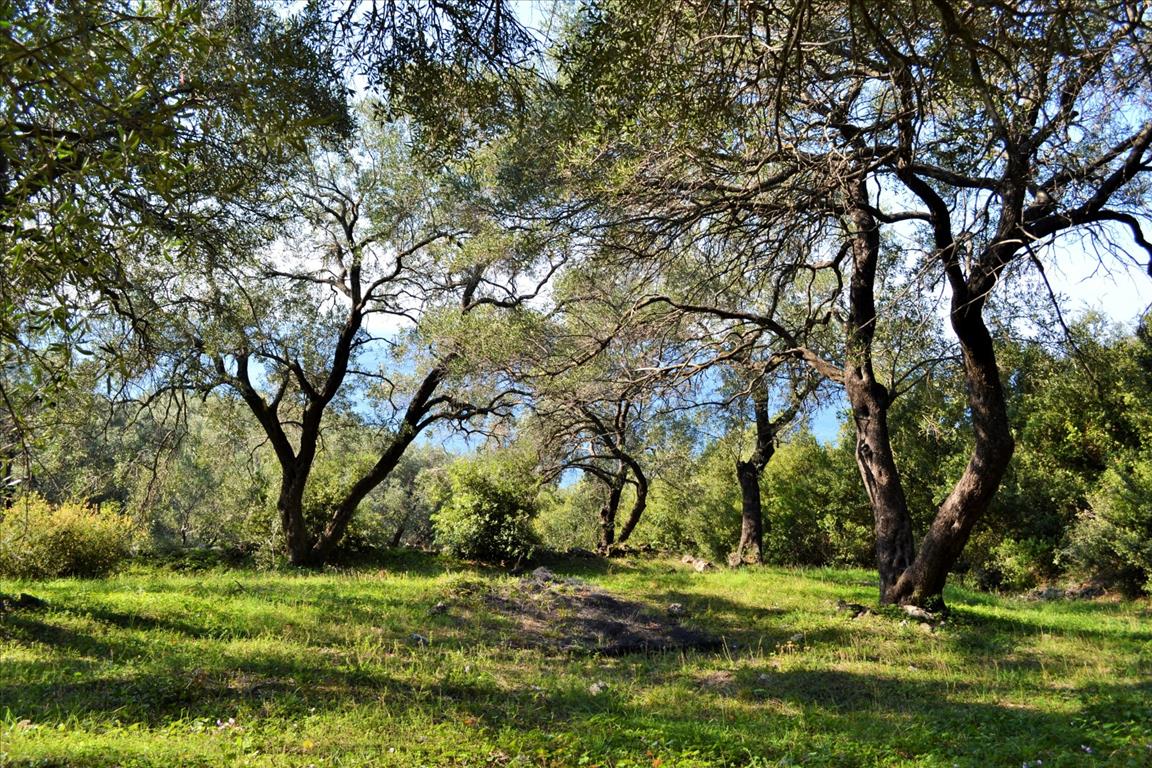 Land Of 7606 M² In Corfu