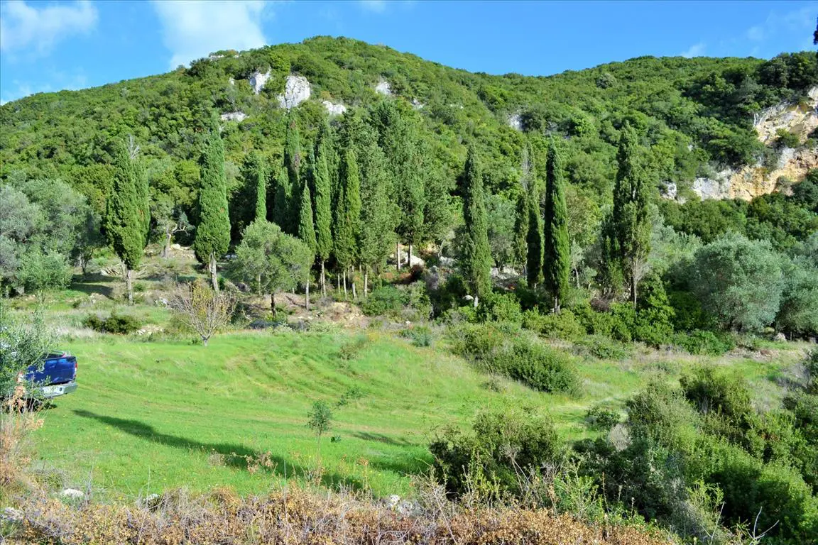 Land Of 15000 M² In Corfu