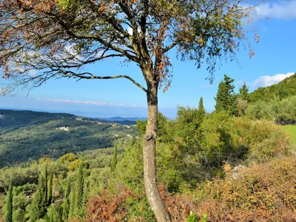 Land In Corfu, Greece