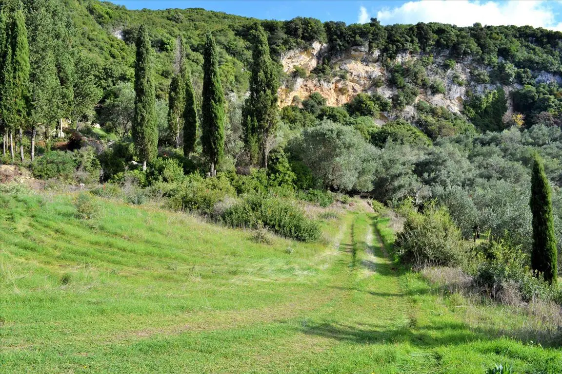 Land Of 15000 M² In Corfu