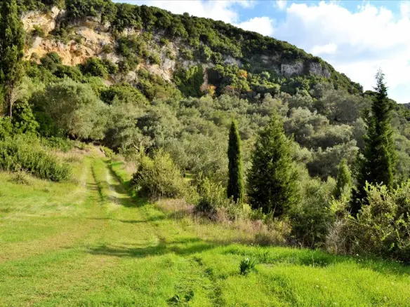 Land In Corfu, Greece