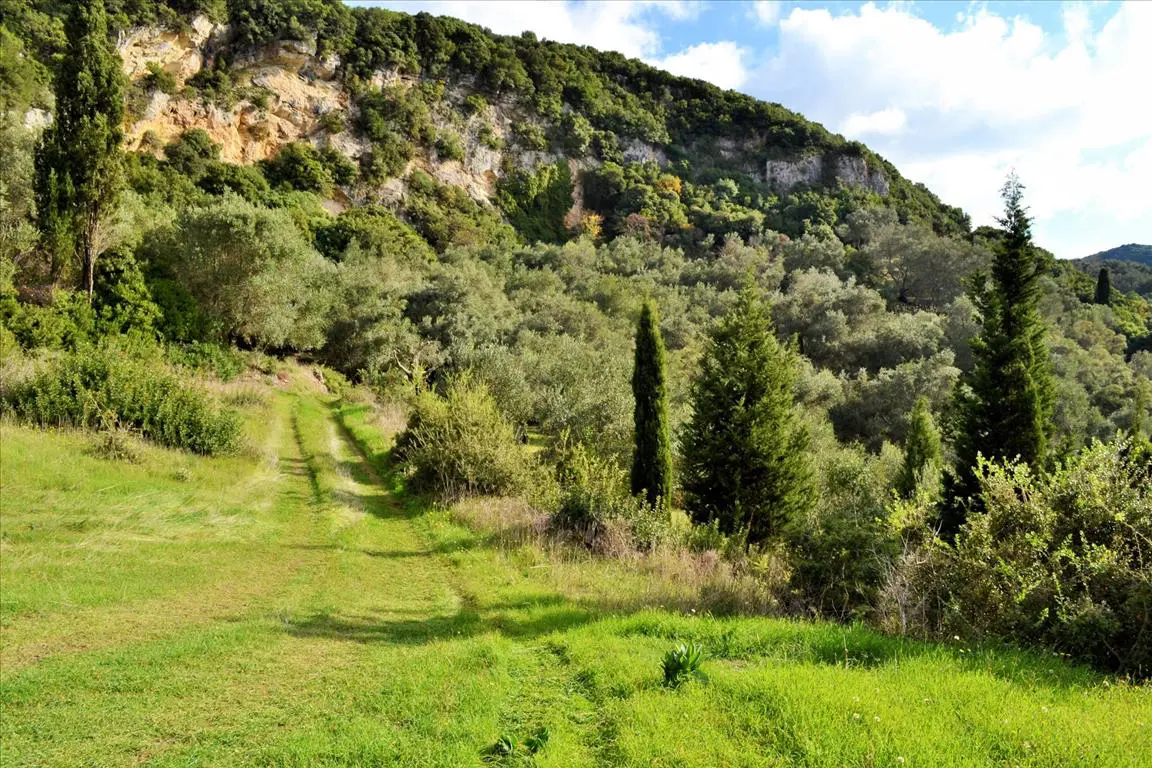 Land Of 15000 M² In Corfu