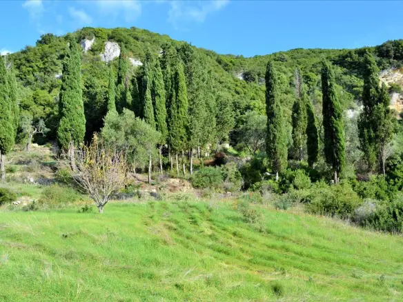 Land In Corfu, Greece
