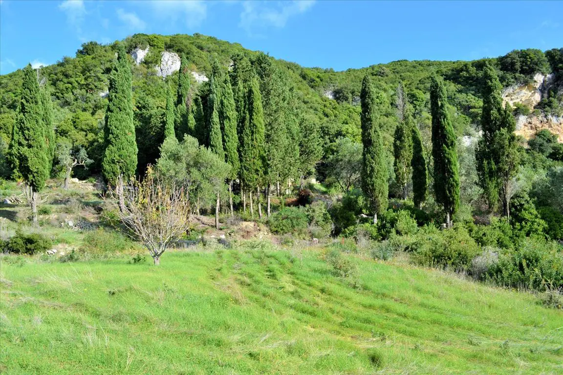 Land Of 15000 M² In Corfu