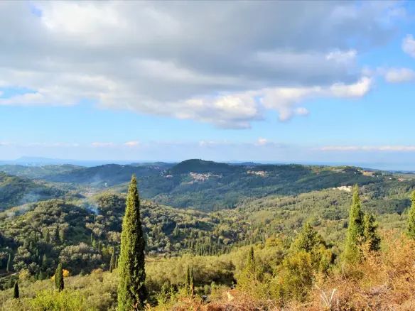 Land Of 15000 M² In Corfu