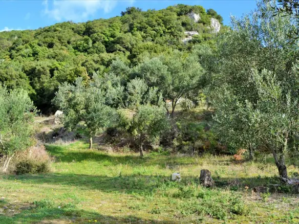 Land In Corfu, Greece