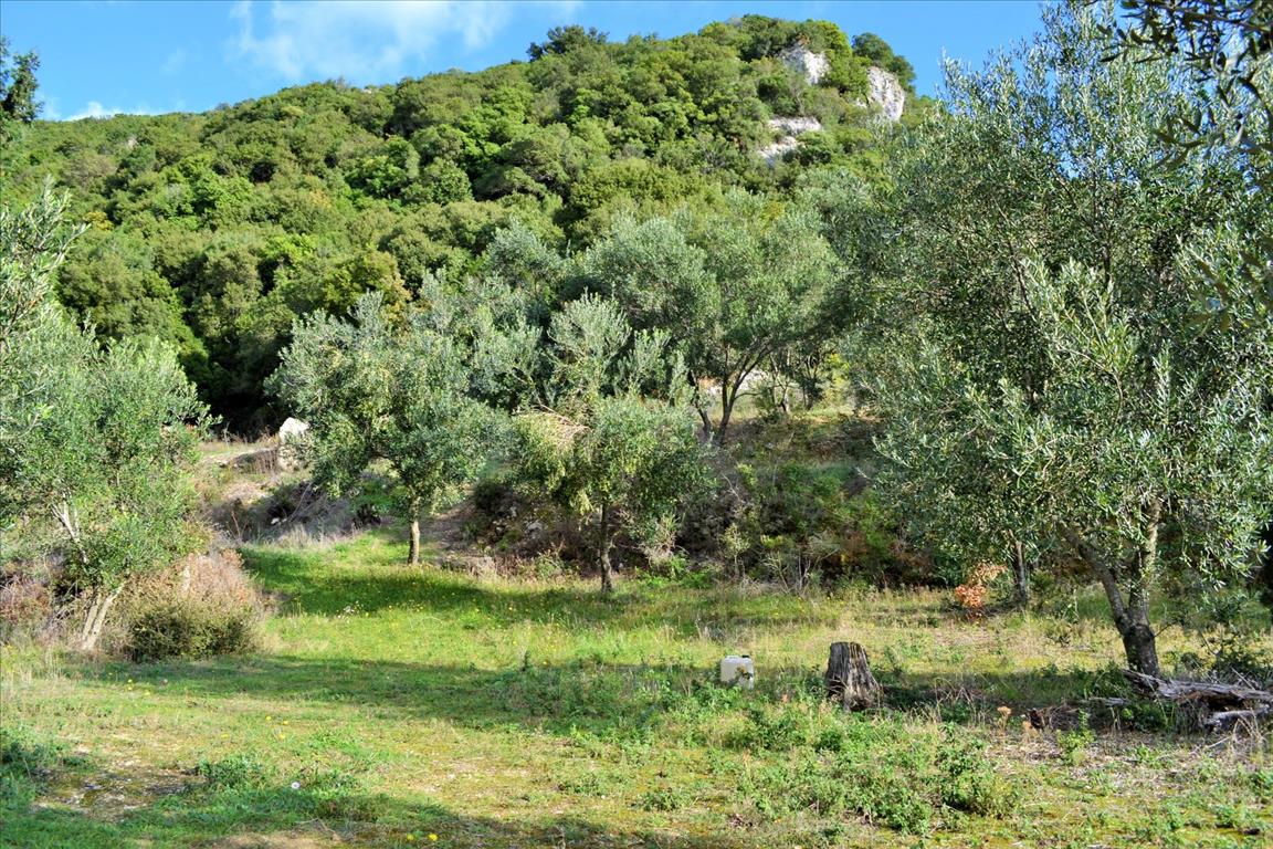 Land Of 15000 M² In Corfu