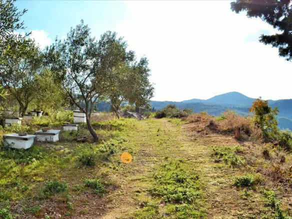Land In Corfu, Greece