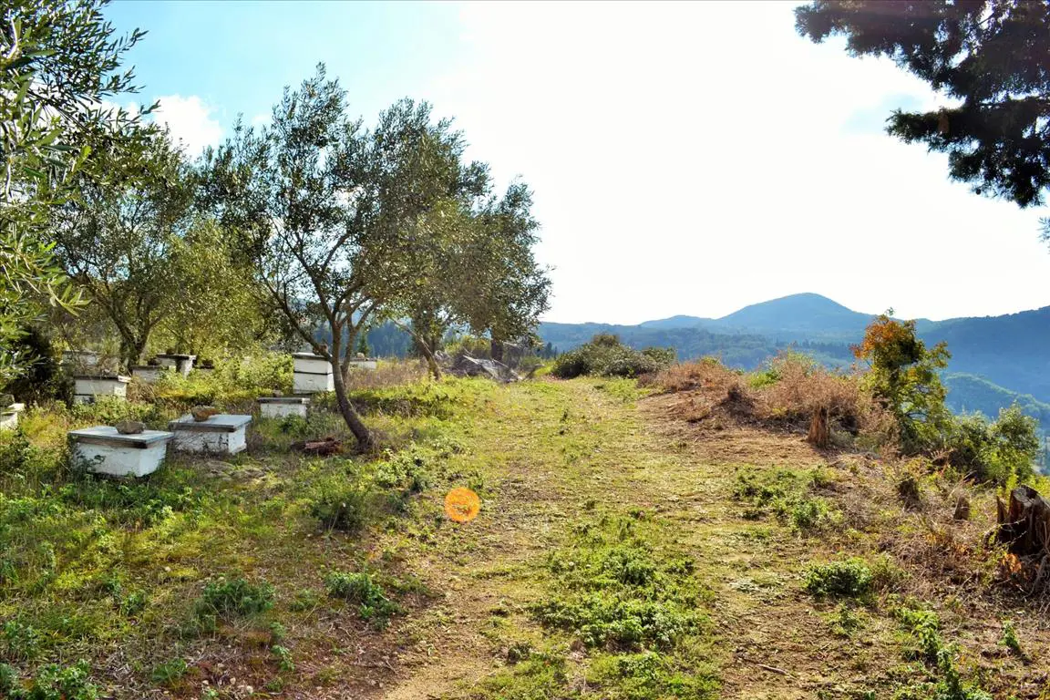 Land Of 15000 M² In Corfu