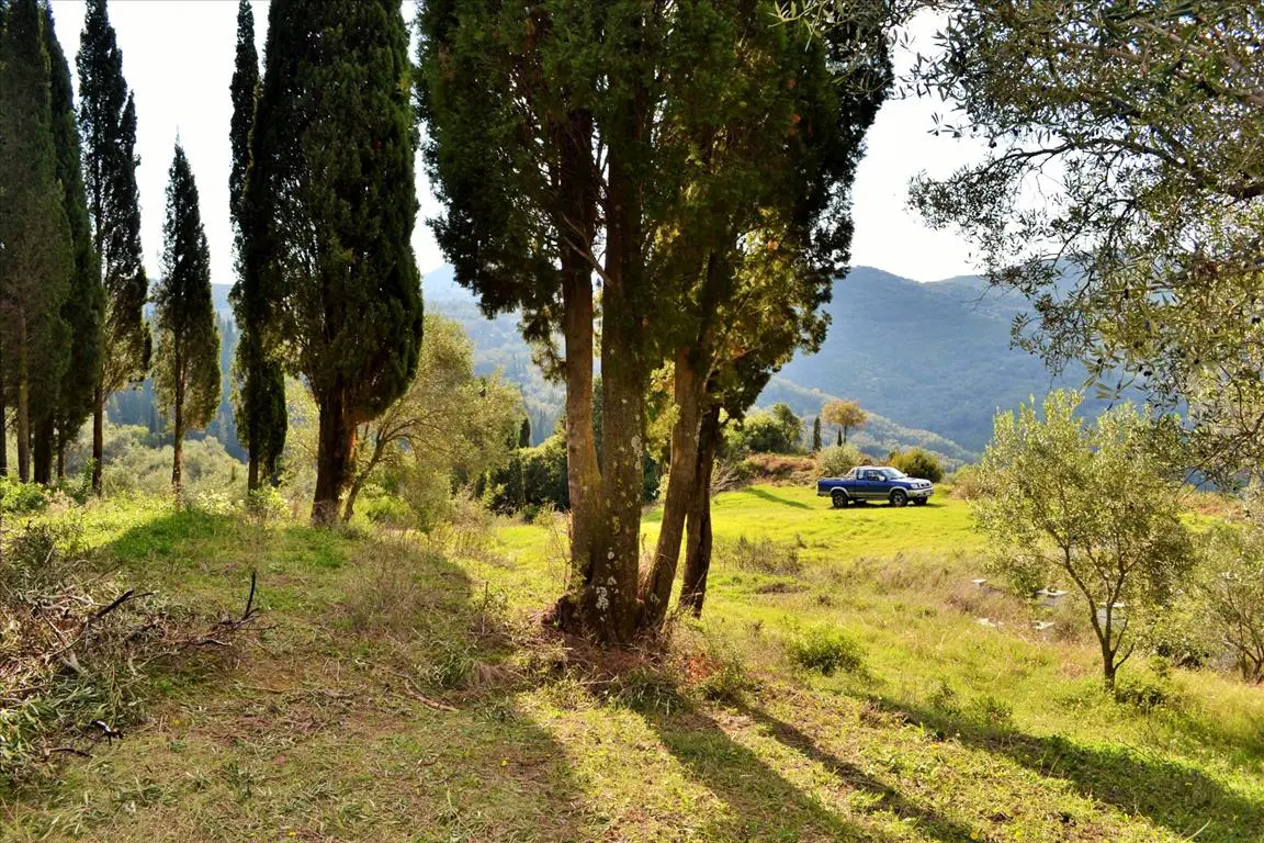 Land Of 15000 M² In Corfu