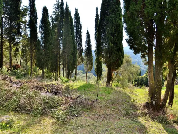 Land In Corfu, Greece
