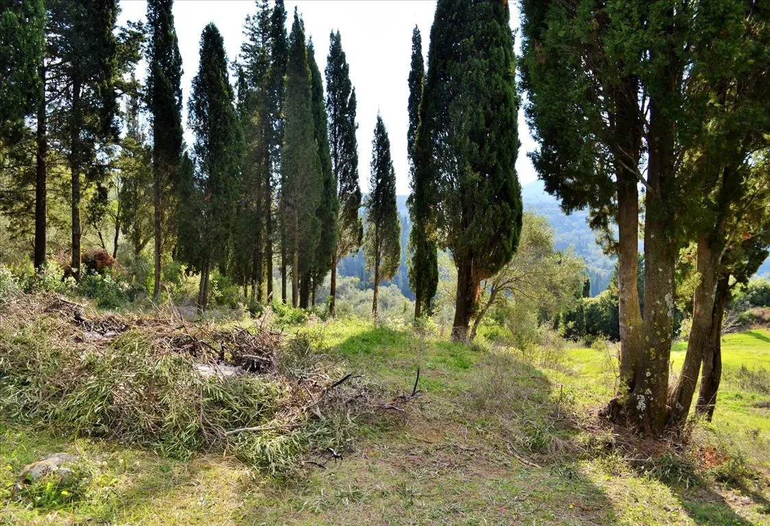 Land Of 15000 M² In Corfu