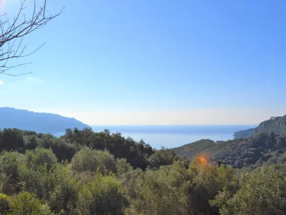 Land Of 8841 M² In Corfu