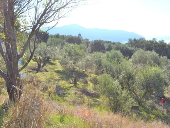 Land In Corfu, Greece